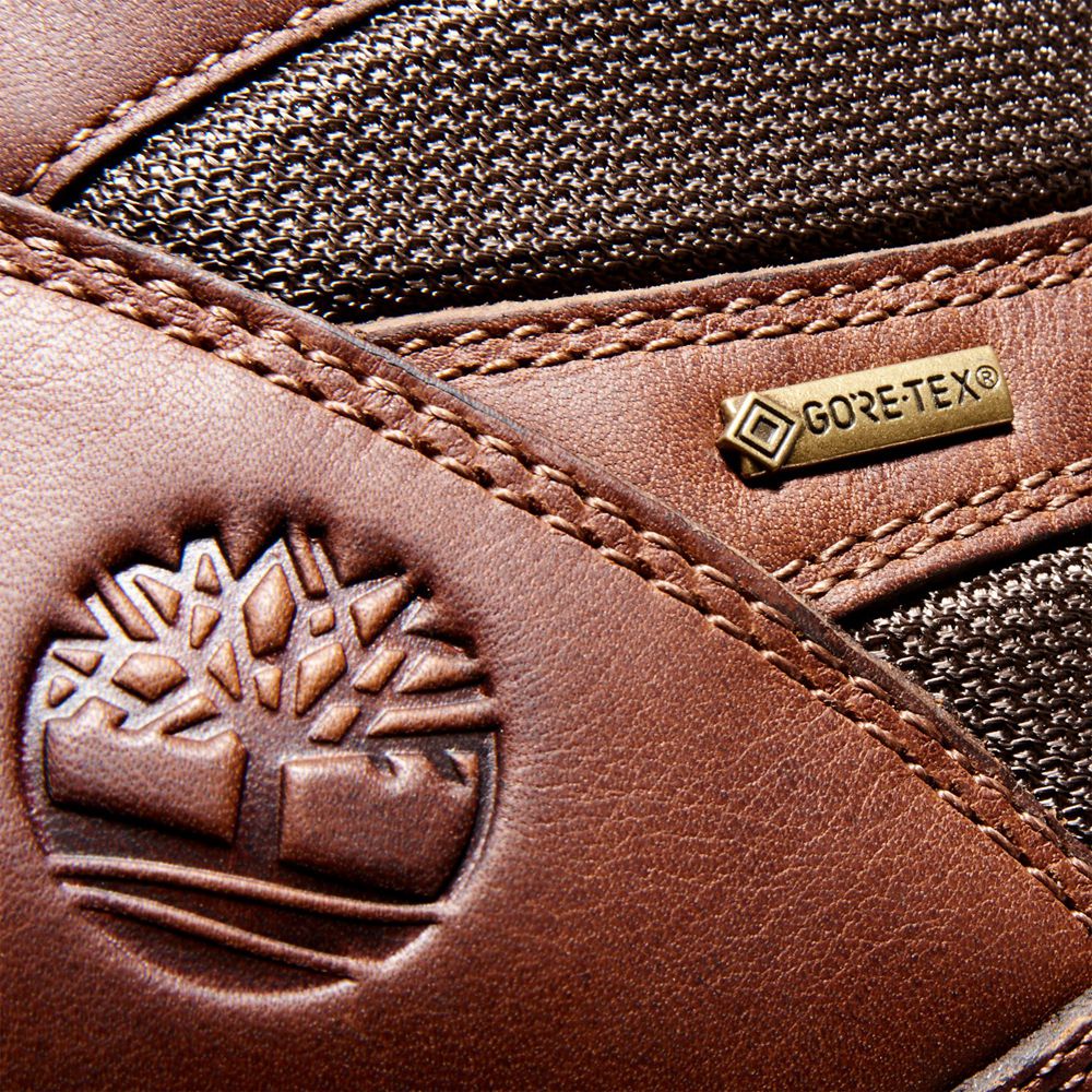 Botas de Caminhada Masculino - Timberland Chocorua Trail 2.0 Impermeavel - KRLNJ5893 - Marrom